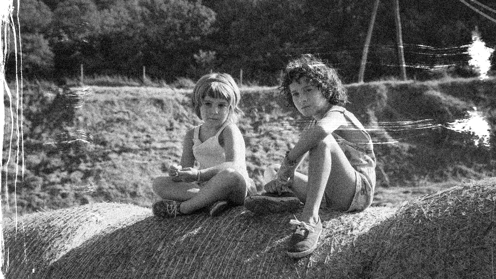 Te criarás los cuervos con dolor Verano 1993, de Carla Simón